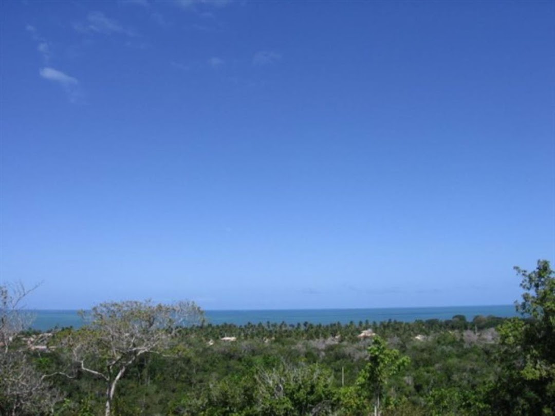 9OXAJubuUdbeZ5md8Bh830L6txEbLARXxhBSnfgoxDOOi-v5Meb9-7sQtot9uw2SJ6noEnp1uztgQjjcBen7HTRIpzh9cZo-OSMvVmhzqMRIJ4I=w1080-h1920