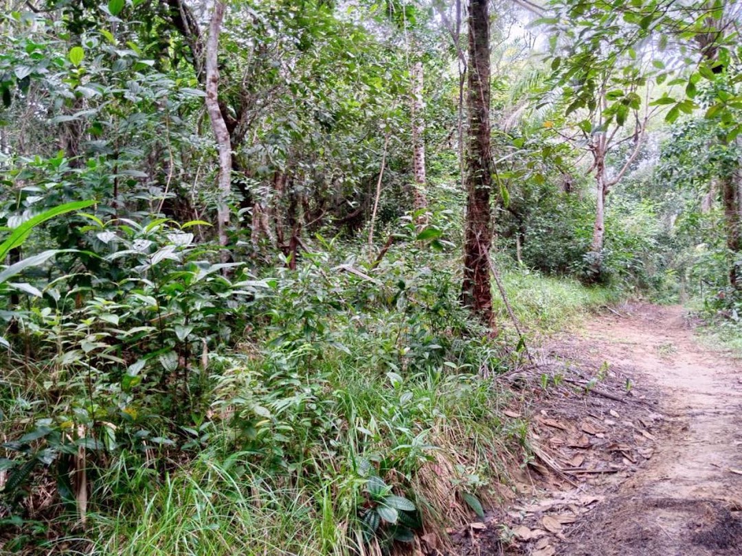 gChBcNLDqpeE5eSCXwC5doijP3SPHnfl897ztF5b2n1EoT42h4NgP0Z81GAcbdT3vk2V9ih9-U80kDJp1jlykVWy5ptHP-vwaoBMW1Lv73KAckM=w1080-h1920